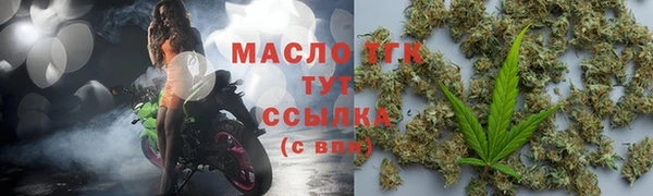 прущие грибы Горно-Алтайск