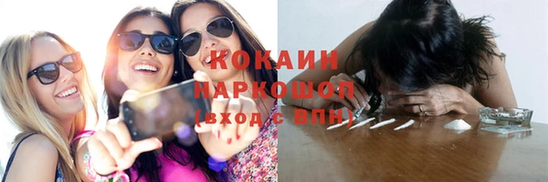 прущие грибы Горно-Алтайск