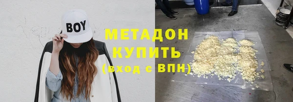 прущие грибы Горно-Алтайск