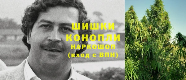 прущие грибы Горно-Алтайск