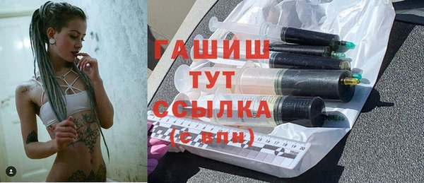 прущие грибы Горно-Алтайск