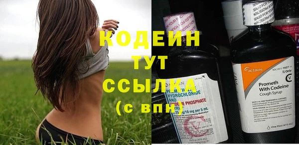 прущие грибы Горно-Алтайск