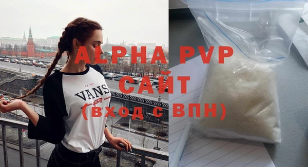 прущие грибы Горно-Алтайск