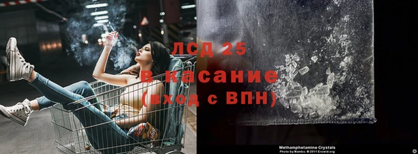 прущие грибы Горно-Алтайск