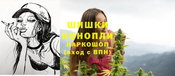 прущие грибы Горно-Алтайск